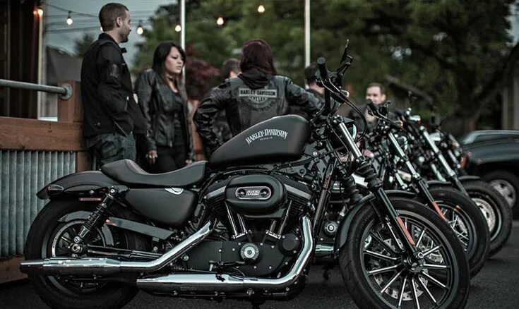 Harley davidson восточная ул 51 фото Harley davidson motorcycles, Harley davidson iron 883, Harley davidson posters