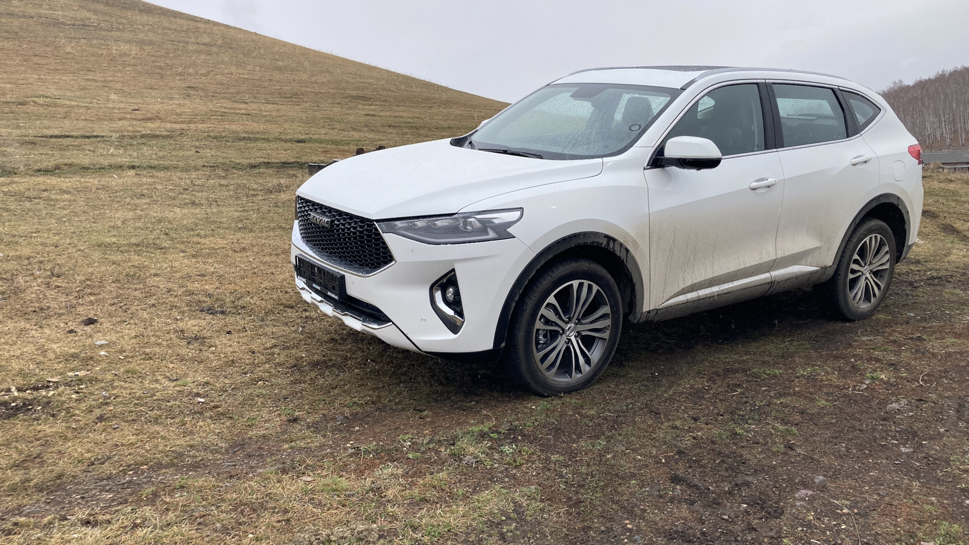 Haval белый фото Haval F7 (1G) 1.5 бензиновый 2021 Большая Белая на DRIVE2