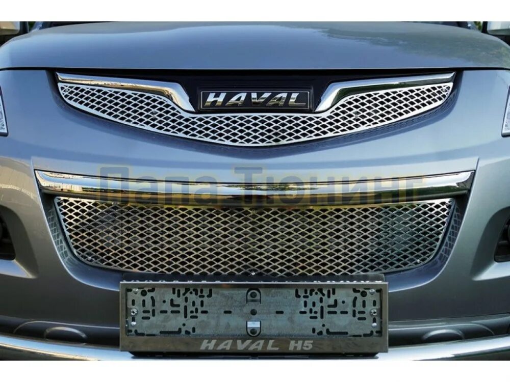 Haval dargo решетка радиатора тюнинг Решетка радиатора нижняя (лист) ТСС для Haval H5 2020- купить с доставкой по Рос