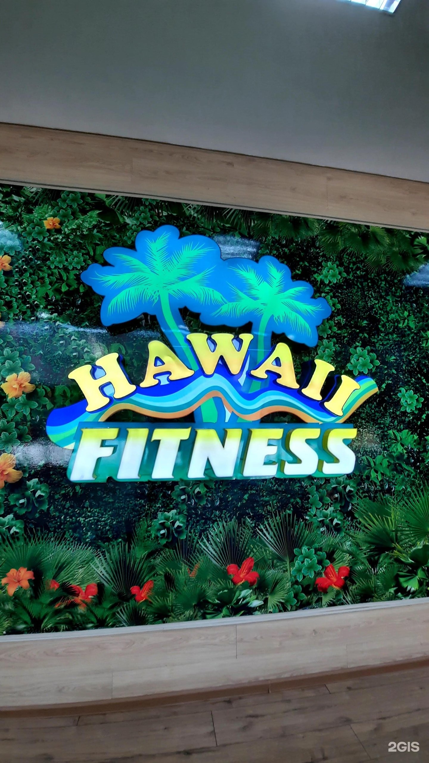 Hawaii ташкентский тракт 17к алматы фото Алматы ташкентский тракт 17к hawaii miami