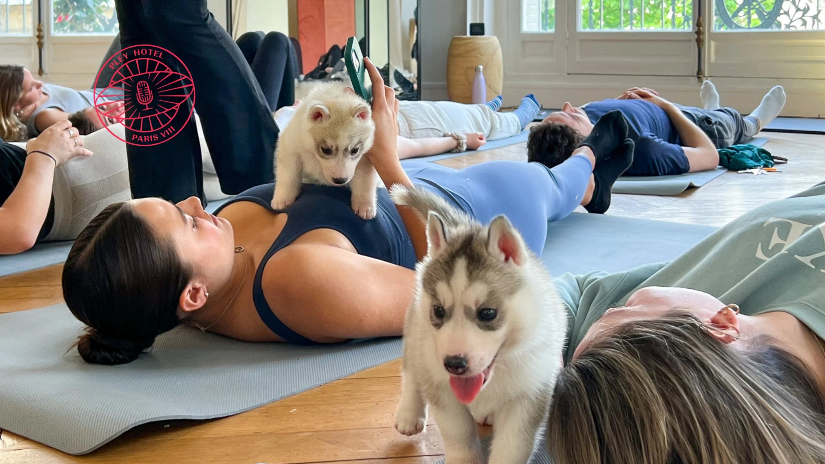 Puppy yoga большая покровская ул 12и фото Pley Hotel Fitness & YOGA Wellness