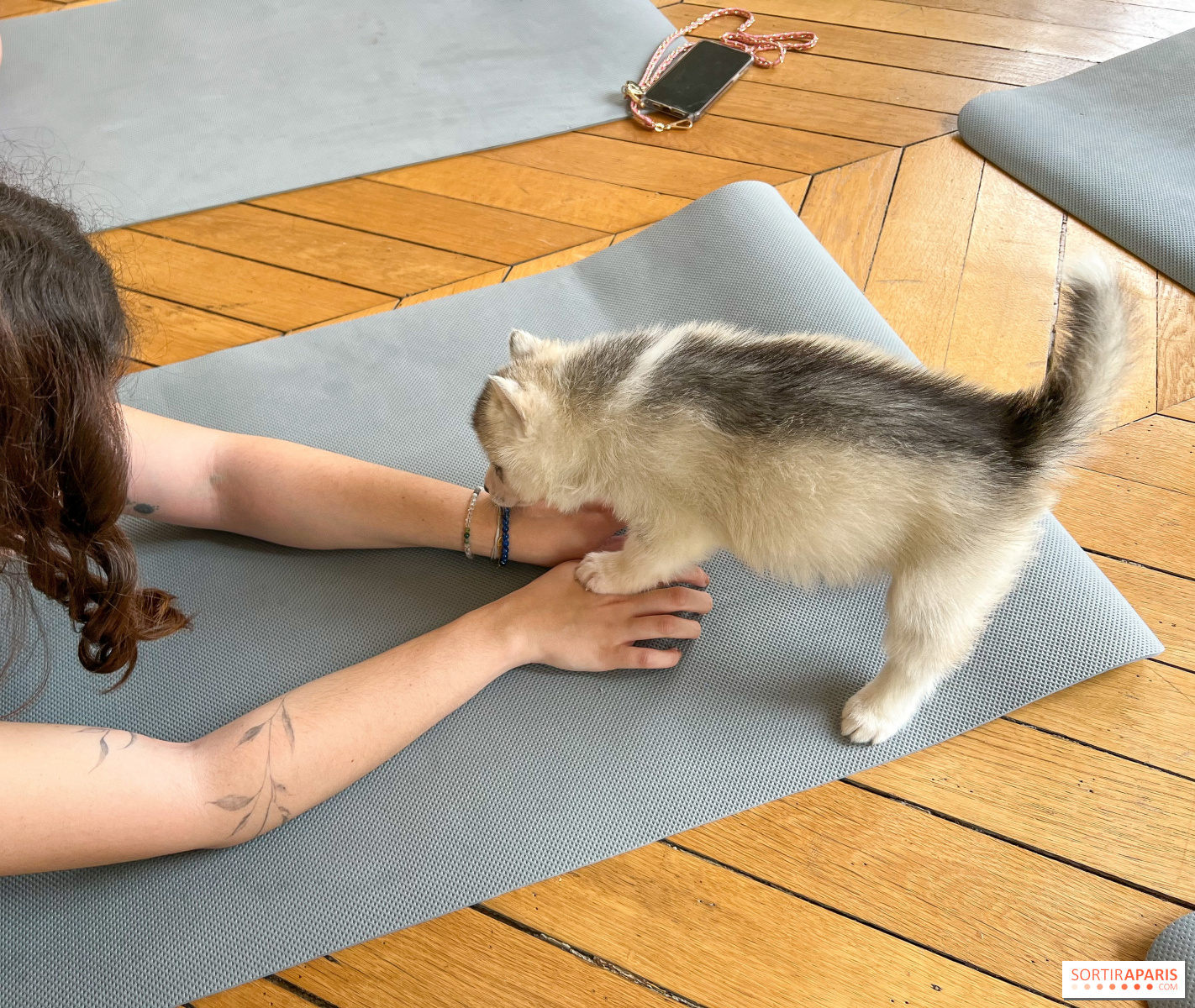 Puppy yoga большая покровская ул 12и фото Puppy Yoga Paris, cuddly yoga sessions with adorable puppies! - Reservations - S