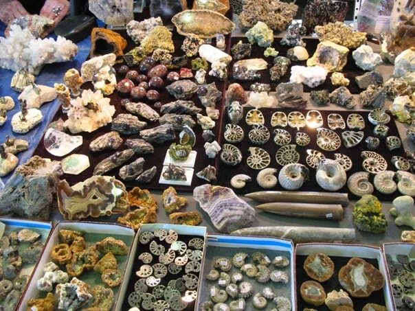 Rastus 2 й самоцветный пер 1 фото The oldest and largest in Moscow fair of fossils and minerals "Self-colored coll