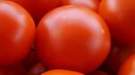 Red food красная ул 47а фото Red food красная ул 47а отзывы