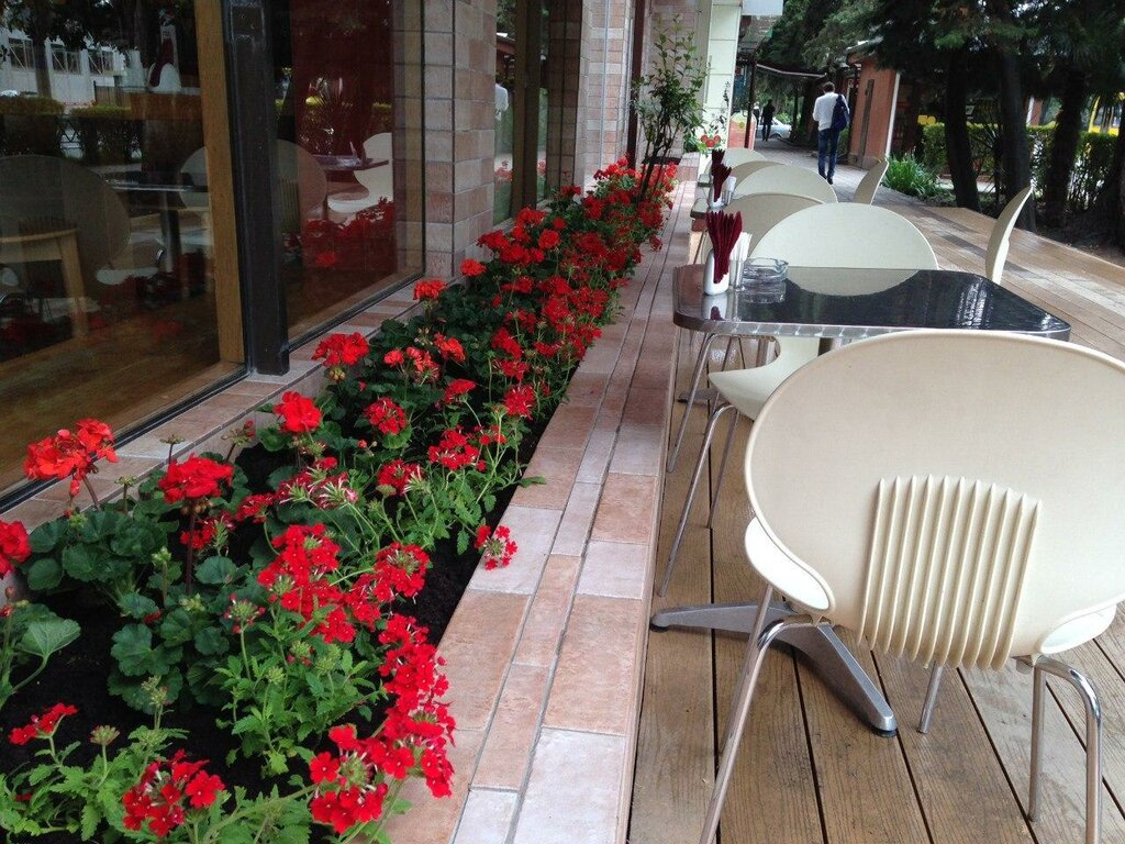 Red ул гагарина 4 фото RED, cafe, Sochi, Gagarina Street, 4 - Yandex Maps