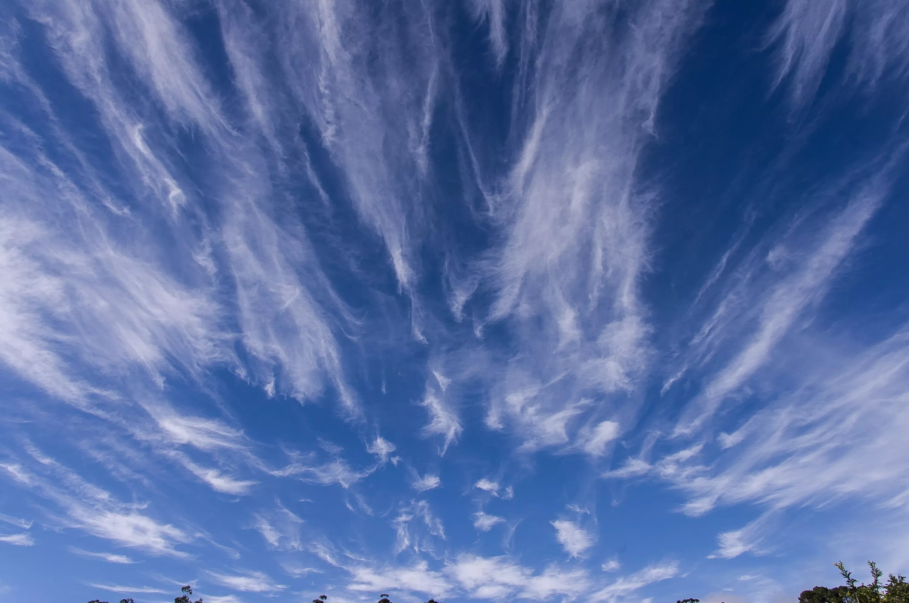 Redmi облако фото Free Images : horizon, cloud, sky, white, sunlight, dawn, dusk, daytime, evening