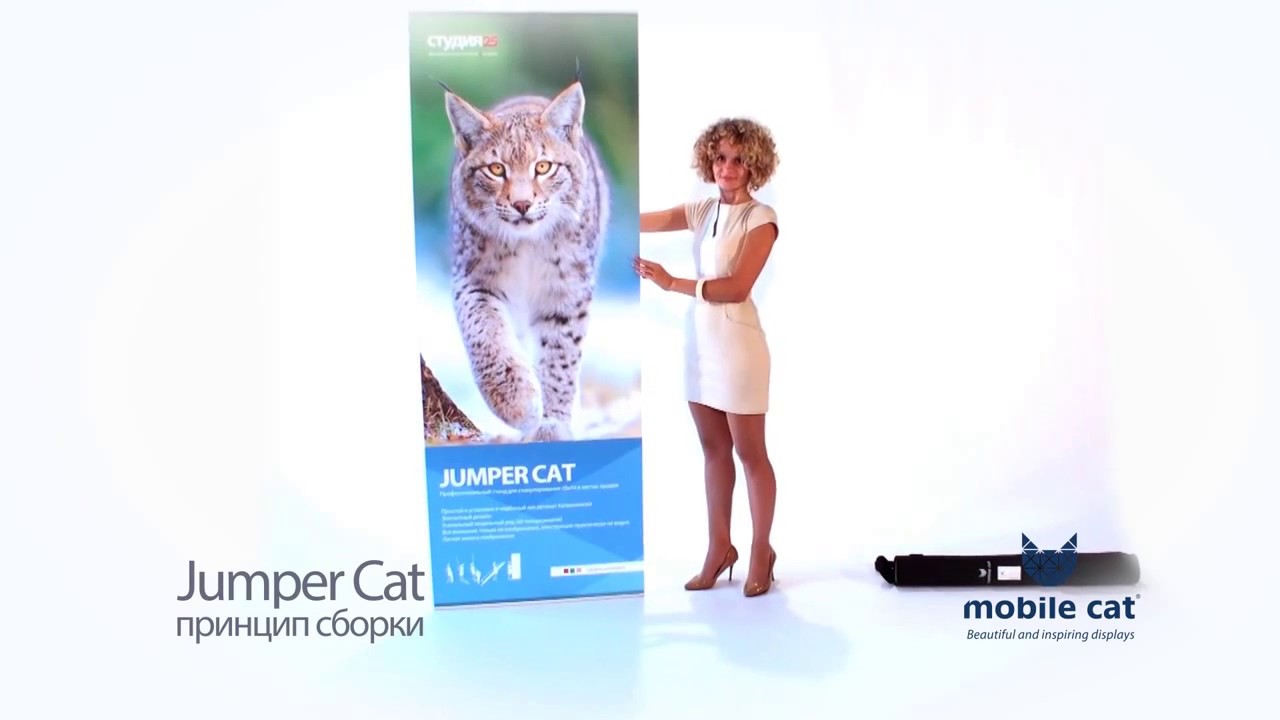 Roll up стенда jumper cat схема установки Ролл ап стенд Jumper Cat от Mobilecat производство и продажа ☏ +7 (916) 629-58-3