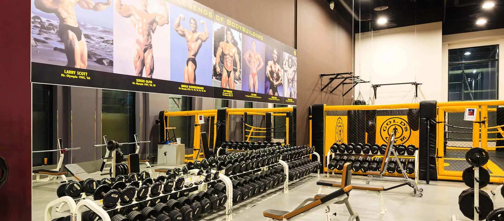 Roman s gym микрорайон радужный 4 фото Gold's Gym Dinamo