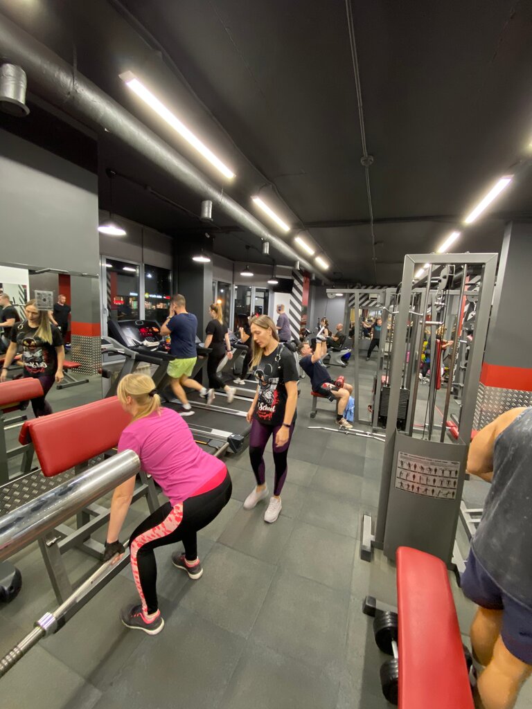 Roman s gym микрорайон радужный 4 фото Торрети джим, фитнес-клуб, Россия, посёлок Знамя Октября, микрорайон Родники, 8 