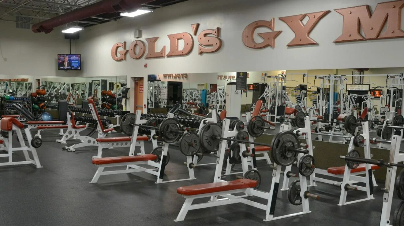 Roman s gym микрорайон радужный 4 фото COVID-19 closures: Gold’s Gym closes 30 locations due to coronavirus