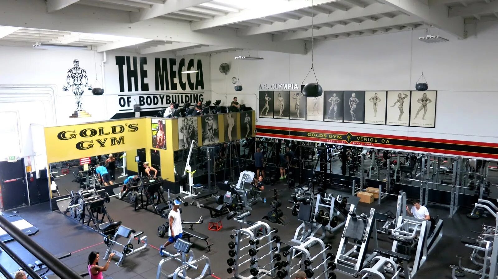 Roman s gym микрорайон радужный 4 фото Golds gym - блог Санатории Кавказа