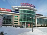 Romantic президентский бул 20 чебоксары фото Сувары президентский бул 4
