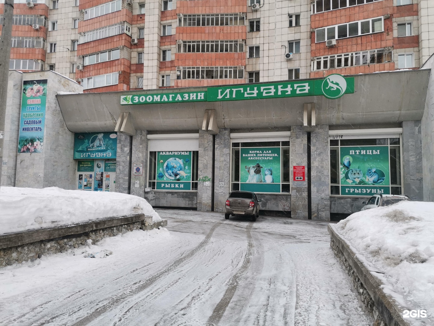 Room39 советский просп 112а фото Игуана, магазин зоотоваров, улица Борчанинова, 15, Пермь - 2ГИС