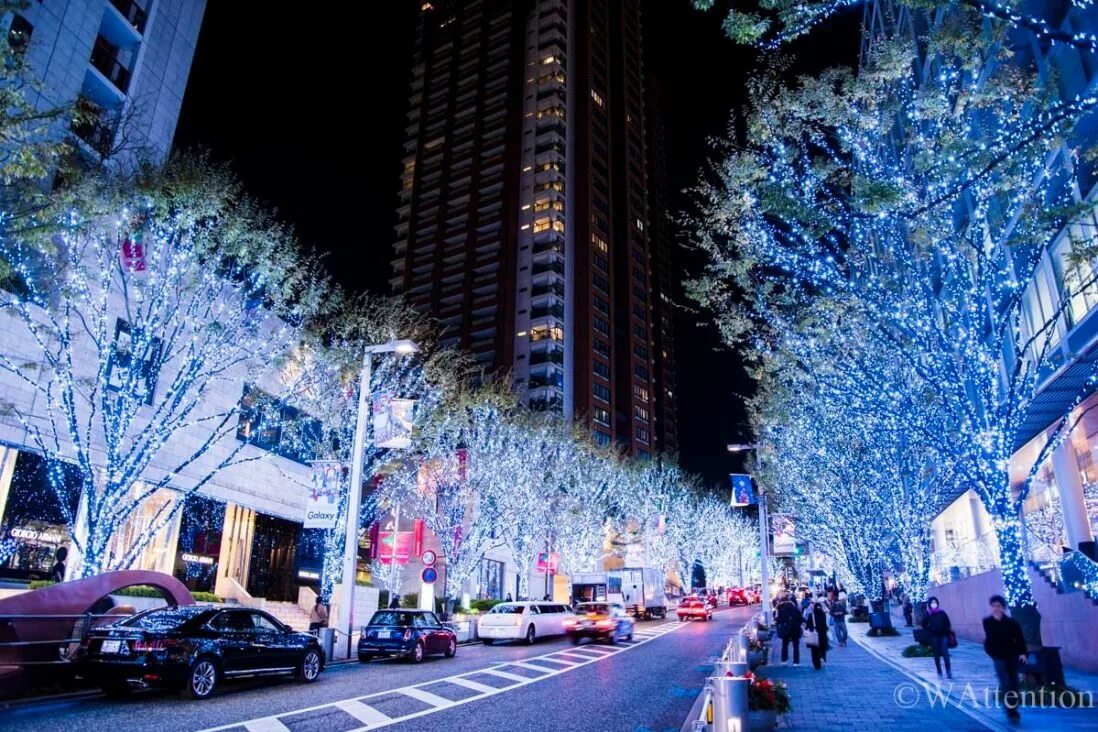 Roppongi ул ленина 11г фото Illumination at Keyakizaka-dori Street Roppongi Hills - WAttention.com