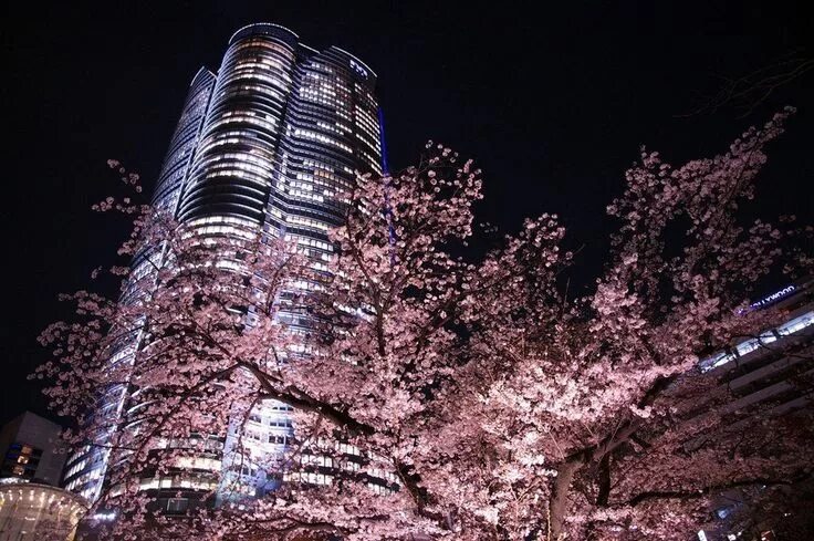 Roppongi ул ленина 11г фото Pin by yeelow_brain on beautiful places Tokyo japan, Asia travel, Beautiful plac