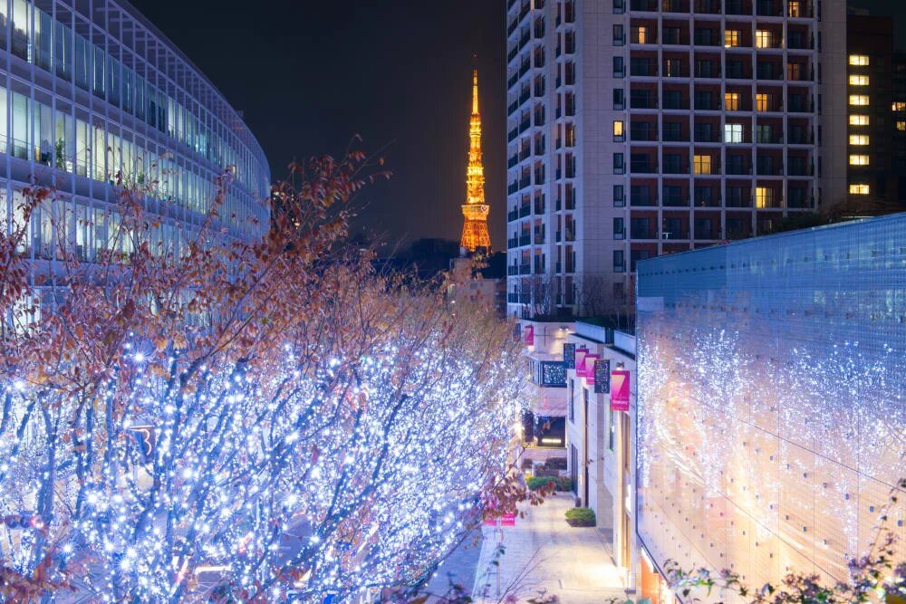 Roppongi ул ленина 11г фото Роппонги и Акасака Город Токио Регион Канто