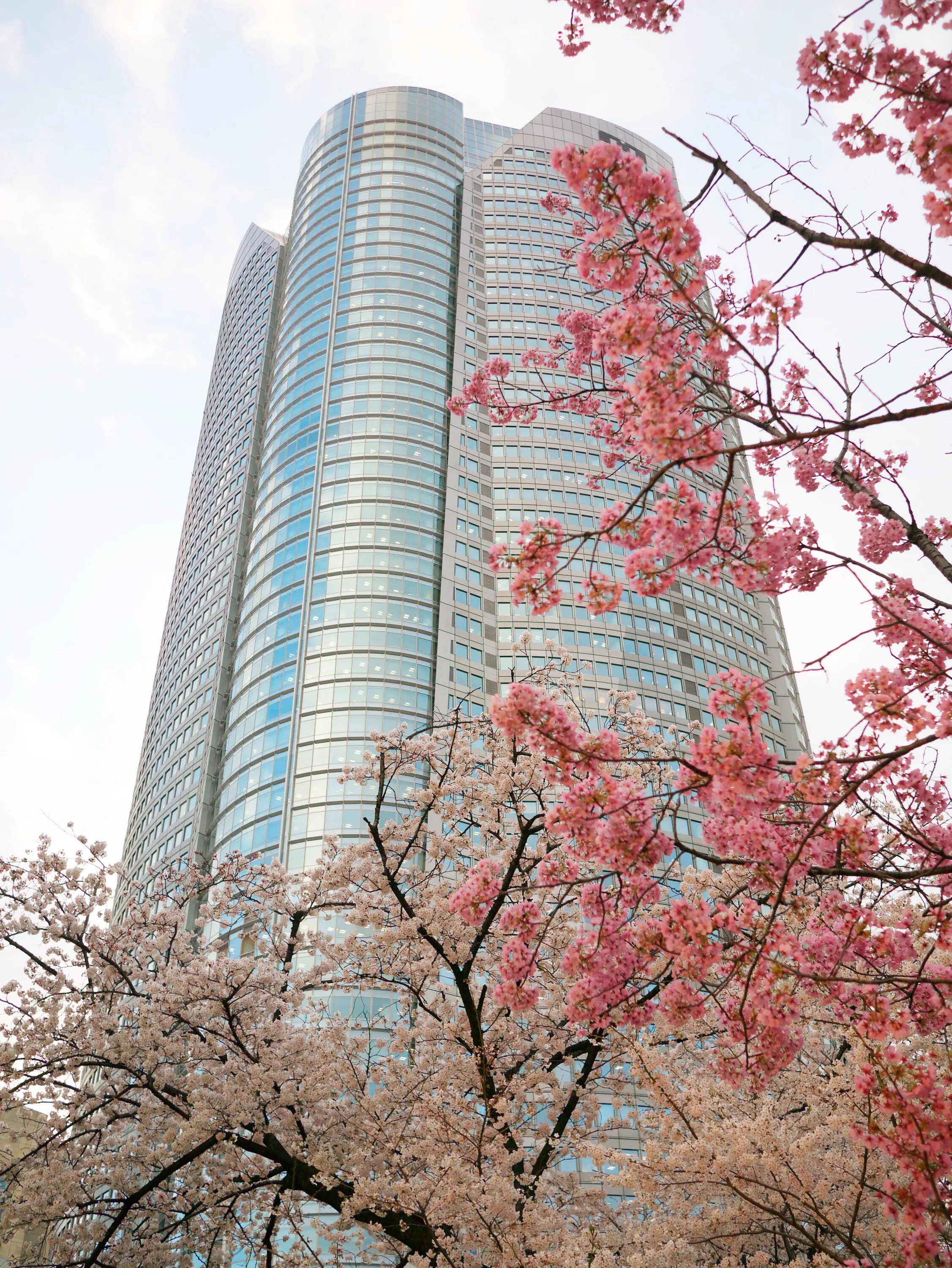Roppongi ул ленина 11г фото Yun photos de la réserve libres : No. 19148 Roppongi Hills Japon / Tokyo