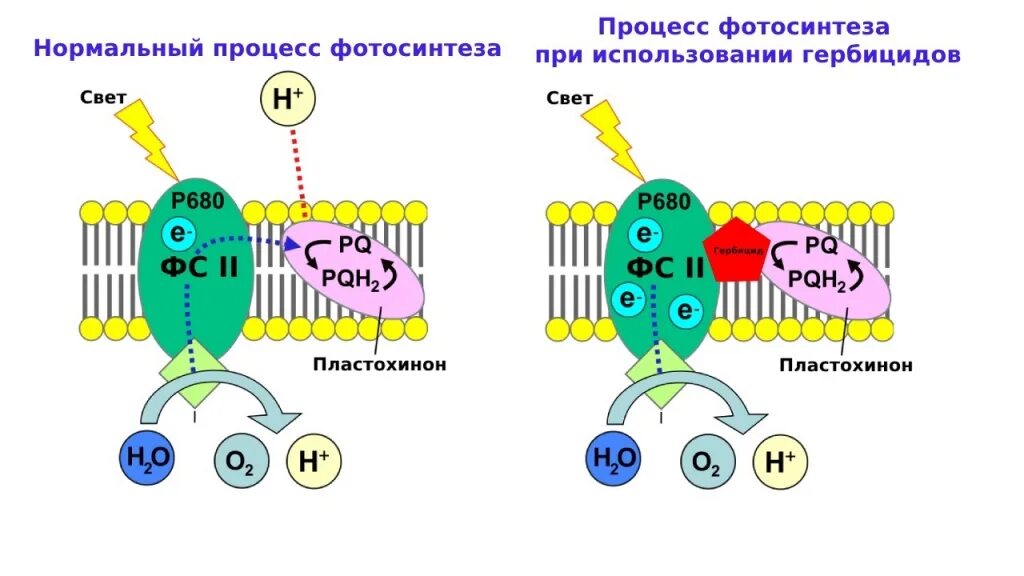 Roxar fsm log фото системы Статьи и публикации