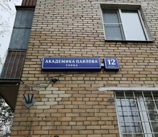 Rue bistro ул академика павлова 28 фото Академика павлова как добраться - 81 фото