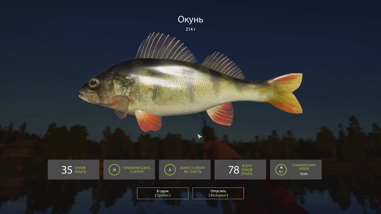 Russian fishing 4 на что ловить Русская рыбалка 4.Ловля окуня для живца и не только. Вэки - оснастка. - YouTube