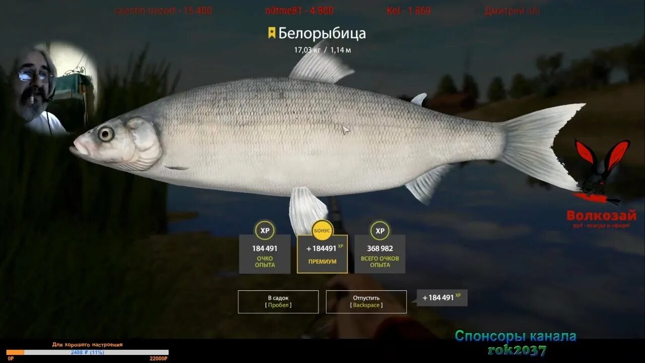 Russian fishing 4 на что ловить 18+) Русская рыбалка 4. Новый день - новая рыбалочка - YouTube