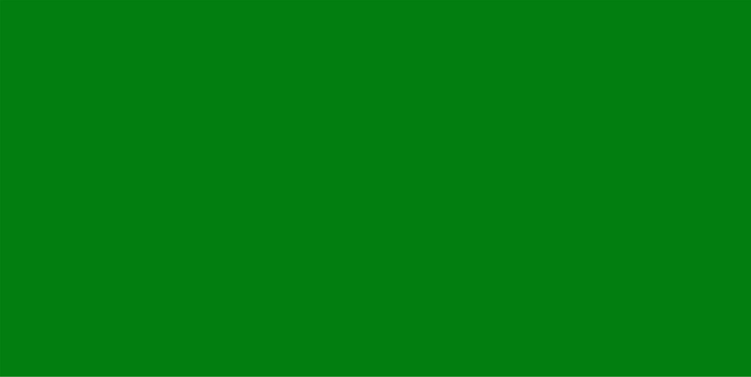 S23 зеленый фото Файл:Rashidun Flag.svg - Википедия