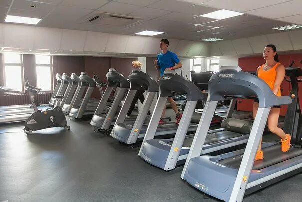 Safari fitness ул пестеля 38 липецк фото Картинки SAFARI FITNESS