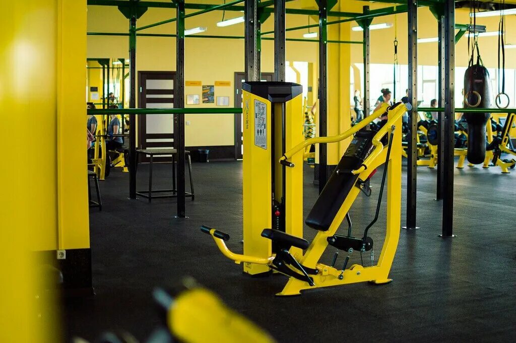 Safari fitness ул пестеля 38 липецк фото Safari, fitness club, Lipetsk, ulitsa Pestelya, 38 - Yandex Maps