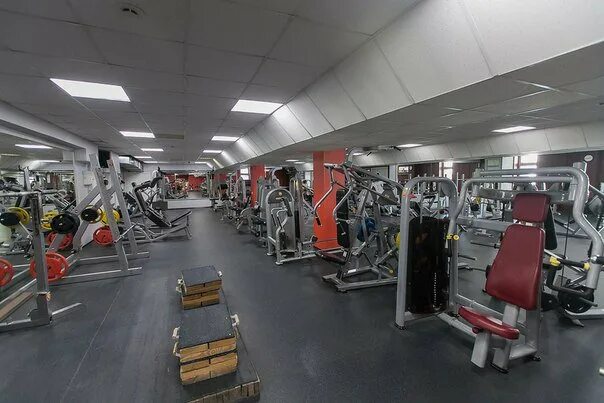 Safari fitness ул пестеля 38 липецк фото Сафари фитнес липецк