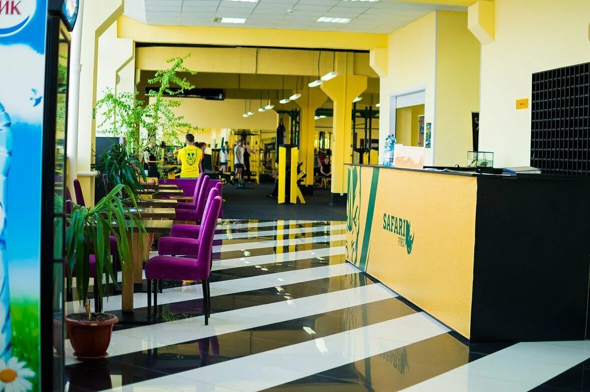 Safari fitness ул пестеля 38 липецк фото Safari Fitness, фитнес-клуб, ул. Пестеля, 38, Липецк - Яндекс.Карты