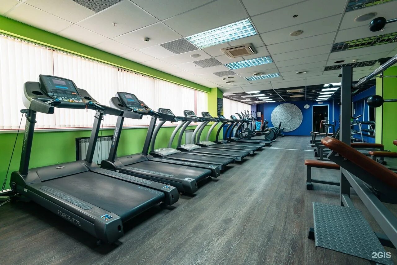 Safari fitness ул пестеля 38 липецк фото Криптон, фитнес-клуб, ТРЦ Армада, Петра Смородина, 13а, Липецк - 2ГИС