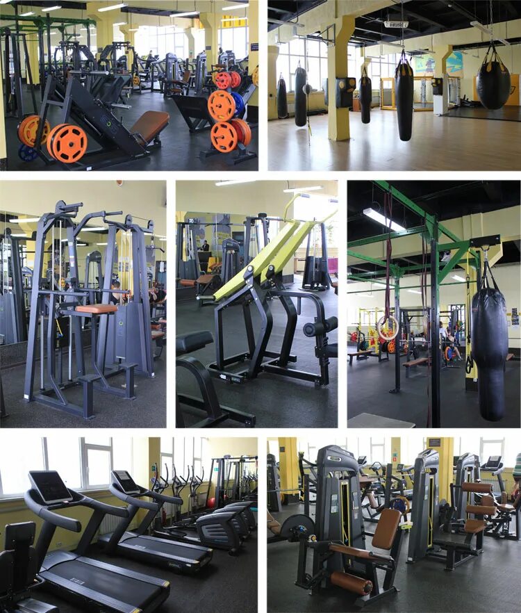 Safari fitness ул пестеля 38 липецк фото Картинки SAFARI FITNESS