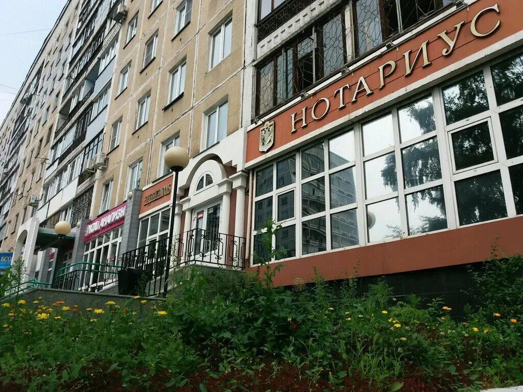 Sahar ул кирова 103 новокузнецк фото Panorama: Notarius Bochkareva I. V., notaries, Novokuznetsk, Kirova Street, 103 