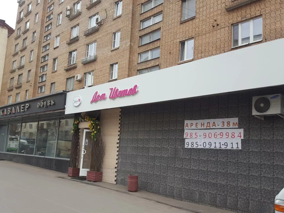 Sakura октябрьская ул 56 крымск фото Больше не работает: Сакура, магазин цветов, Москва, Трифоновская улица, 56 - Янд