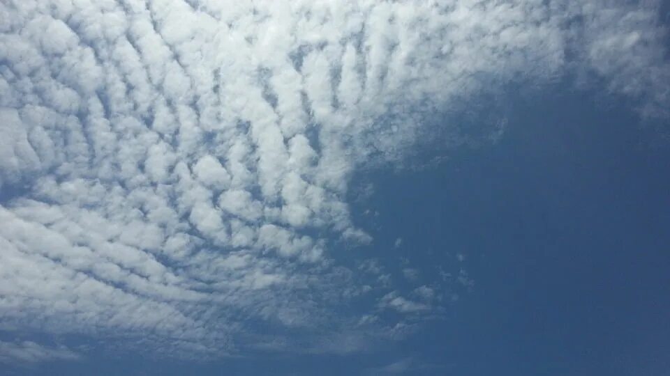 Samsung фото облако Canvas Print Blue Sky Sky White Cloud Stretched Canvas 10 x 14 - Walmart.com - W