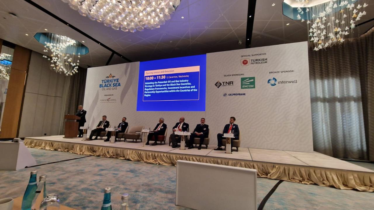 Sanel com tr фото турция выставка Международный конгресс и выставка Turkey & Black Sea Oil and Gas 2023 - Конс