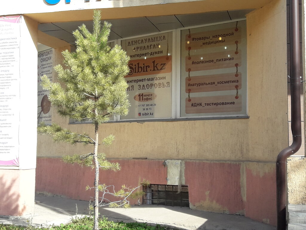 Santegra ул пушкина 6 фото Santegra, phytoproducts, dietary supplements, Karagandy, Sattar Erwbaev Street, 