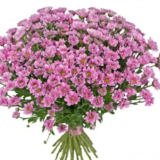 Santini комсомольская ул 8 фото Букет "Фиолет" 25шт, Flowers and presents Moscow, buy at a price of 3450 RUB, Cl