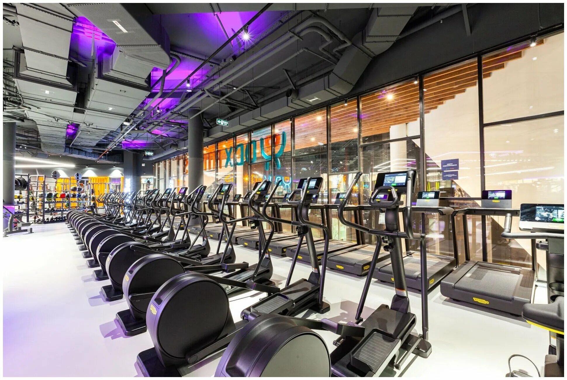 Sapa fitness ул попова 19а фото Абонемент клубная карта в фитнес DDX FITNESS LIGHT на 30 дней - купить в интерне