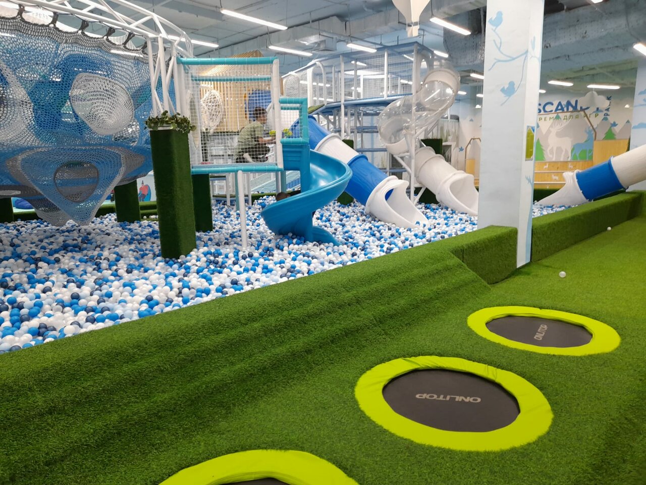 Scandy park кольцовская ул 35 воронеж фото Лето с детьми в Воронеже. От театров и цирка до зоопарка, галереи и кафе - Яндек