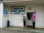 Scat ул герцена 12а омск фото Scat ул герцена 12а: найдено 71 картинок