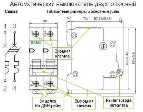 Schneider electric двухполюсный автоматический выключатель как подключить Назначение и установка двухполюсного и трехполюсного выключателя