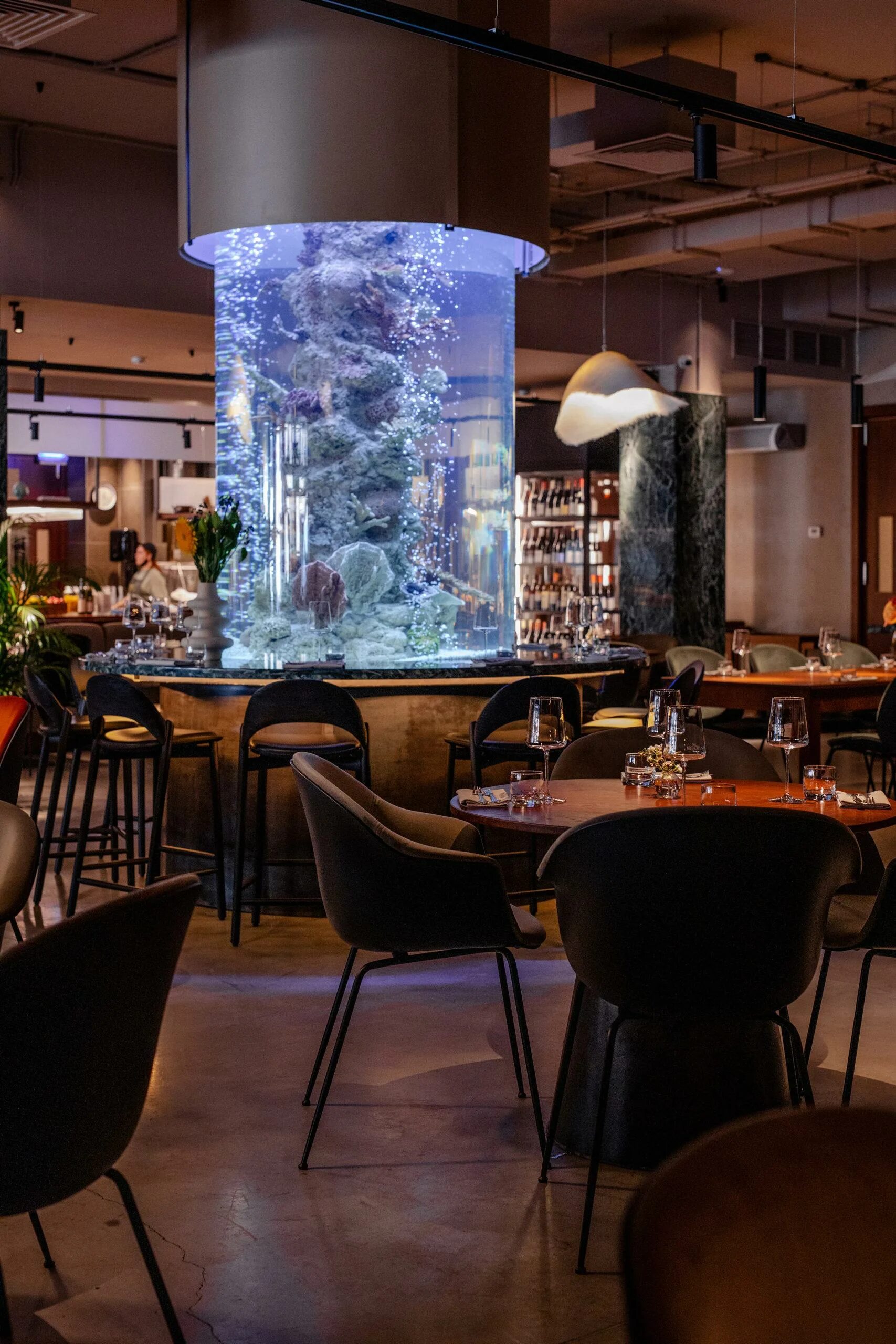 Sea signora большая морская ул 30 фото Restaurant Sea, Signora Best restaurants Saint-Petersburg GreatList Guide