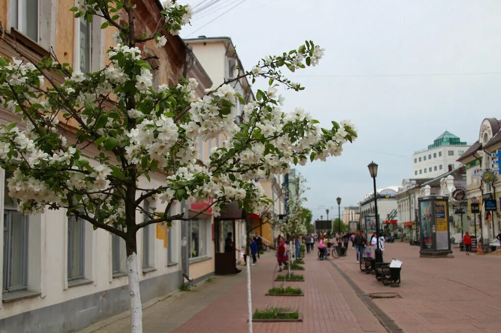Seasons трехсвятская ул 17 тверь фото В Твери общественники внесут свою лепту в благоустройство Трехсвятской Вся ТВЕРЬ