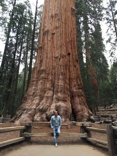 Sequoia park зимняя ул 27 екатеринбург фото Стена ВКонтакте