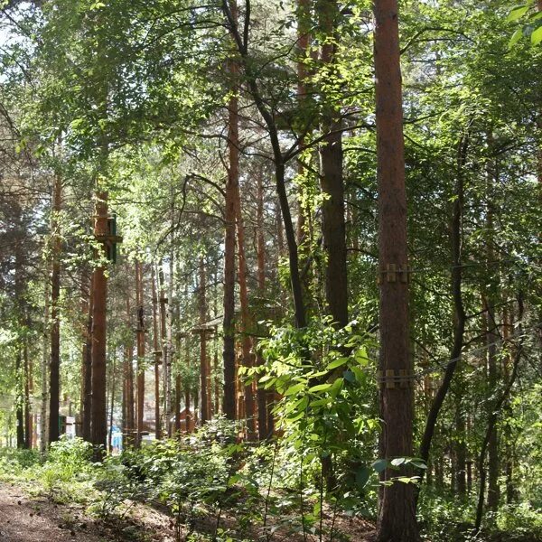 Sequoia park зимняя ул 27 екатеринбург фото Фотографии компании Sequoia park, веревочный парк в Екатеринбурге на Зимняя, 27/