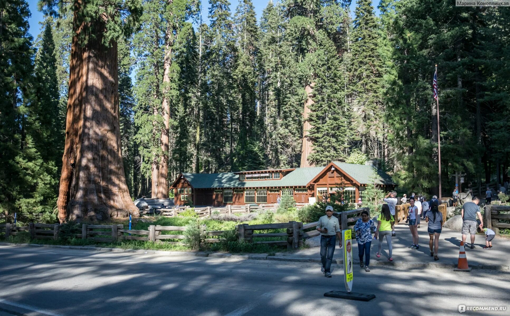 Sequoia park зимняя ул 27 екатеринбург фото Национальный парк "Секвойя", США - "Место, где живут ВЕЛИКАНЫ. Древнейший в мире