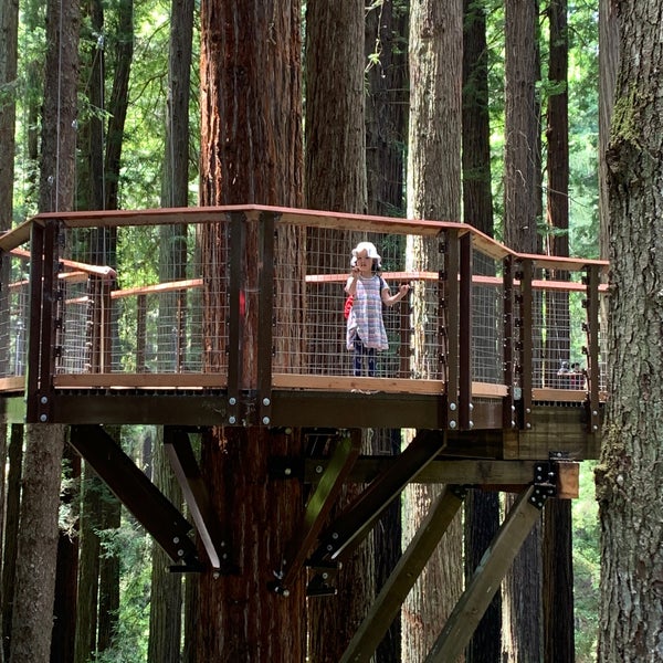 Sequoia park зимняя ул 27 фото Секвойя парк тюмень