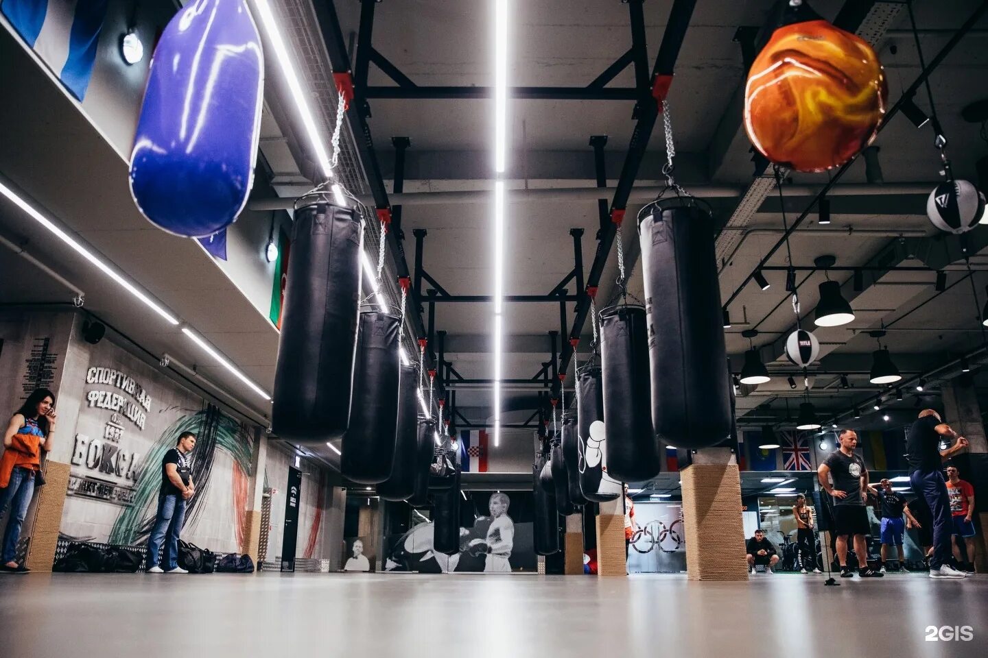 Sfb boxing центральная ул 15а кудрово фото Спортивная Федерация бокса Санкт-Петербурга, Центральный зал, ТК Владимирский Па