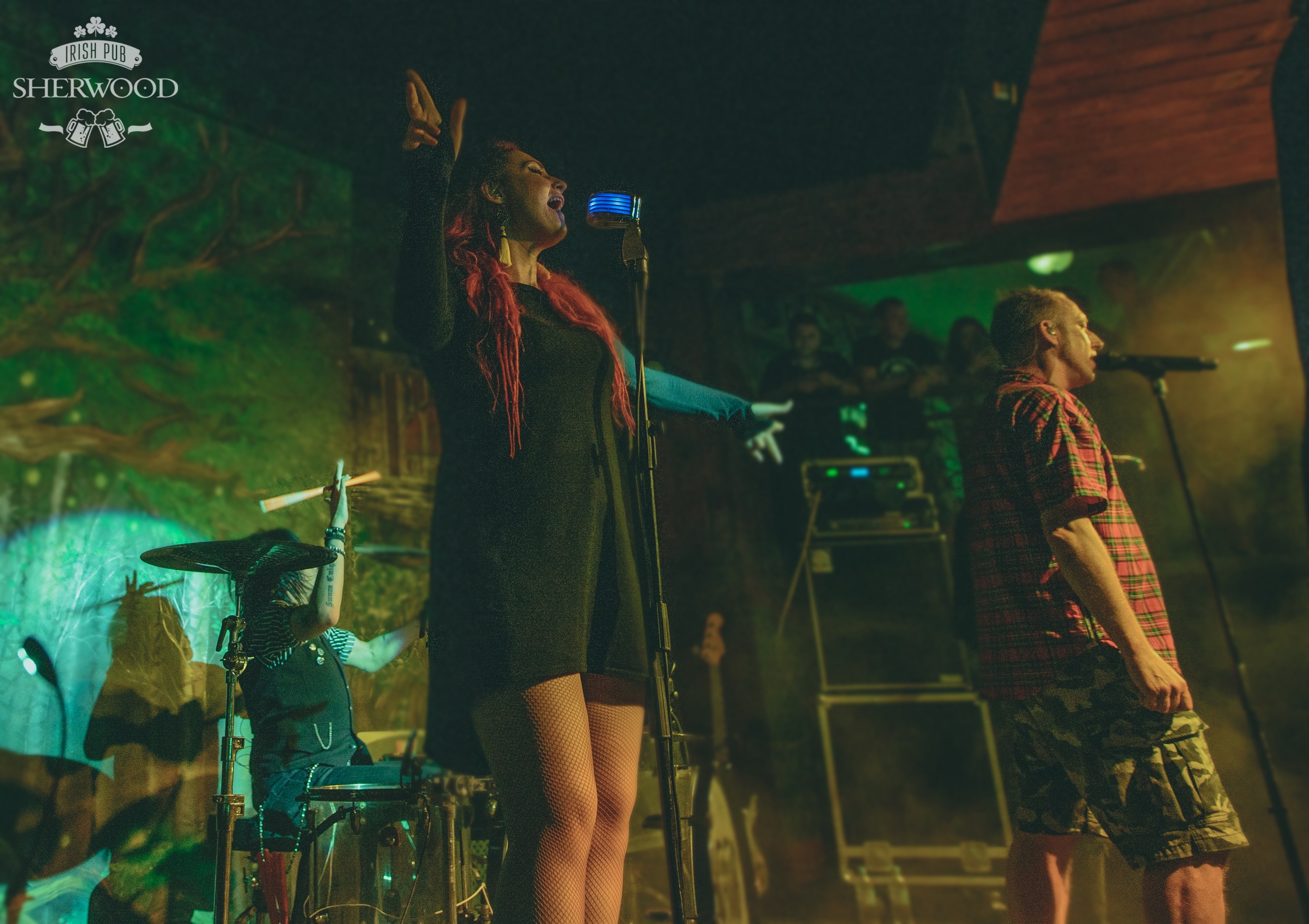 Sherwood pub шараповская ул 7 фото 27/07/18. НАИВ / SHERWOOD PUB - ирландский паб в Мытищах, пивной ресторан с живо